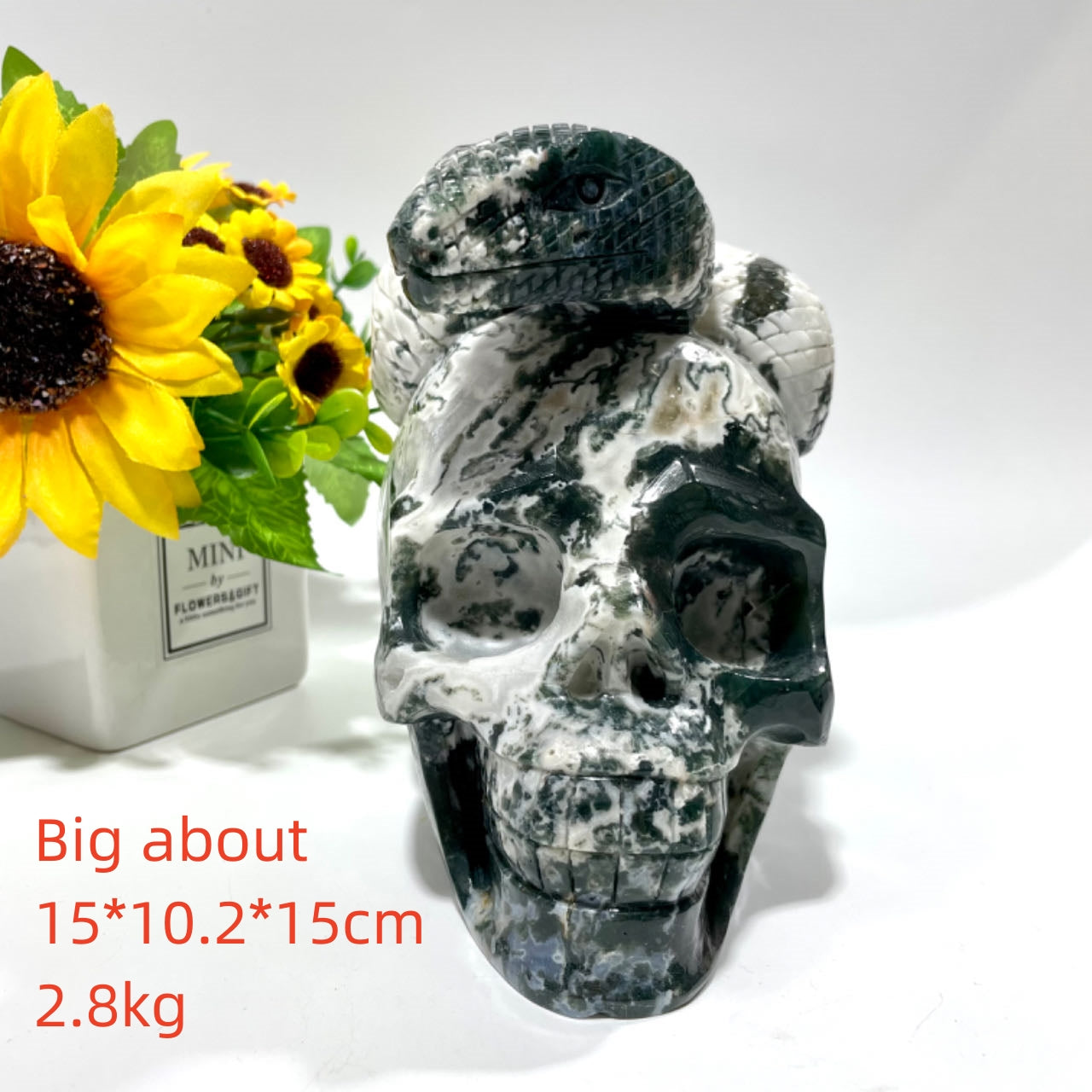 1 Count Big Moss Agate Skull With Snake Healing Crystal Gem Reiki Healing Home Decor Crystal Jewelry Shop Pretty Crystals From IG Crystal