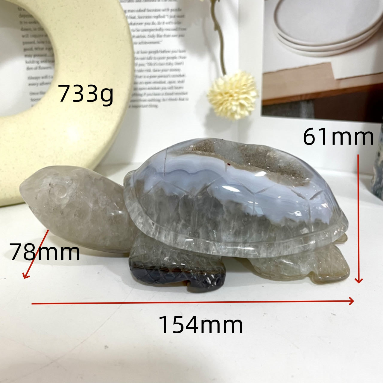 Turtle Druzy Natural Raw Geode From IG Crystal