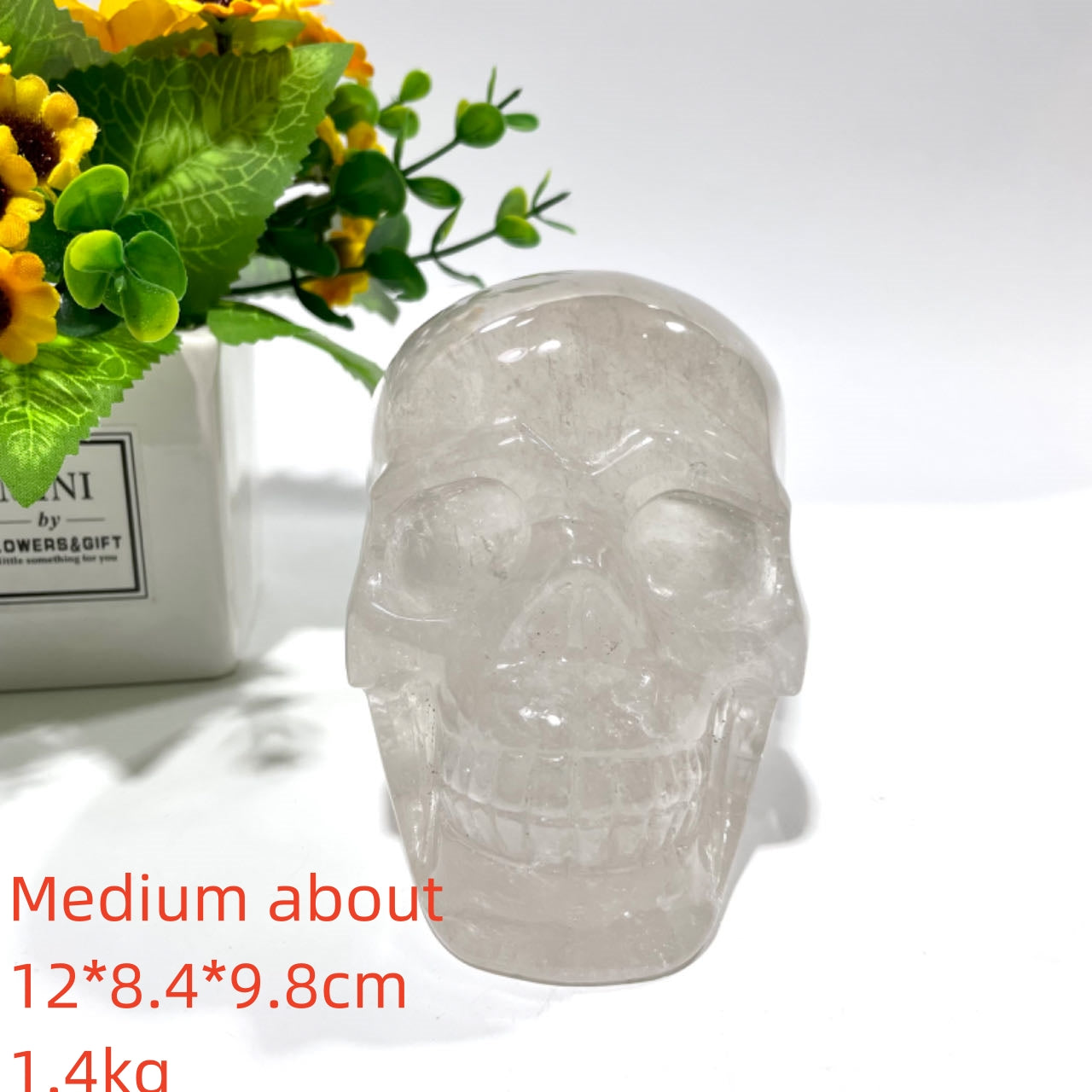 1 Count Big Clear Quartz Skull Healing Crystal Gem Reiki Healing Home Decor Crystal Jewelry Shop Pretty Crystals From IG Crystal