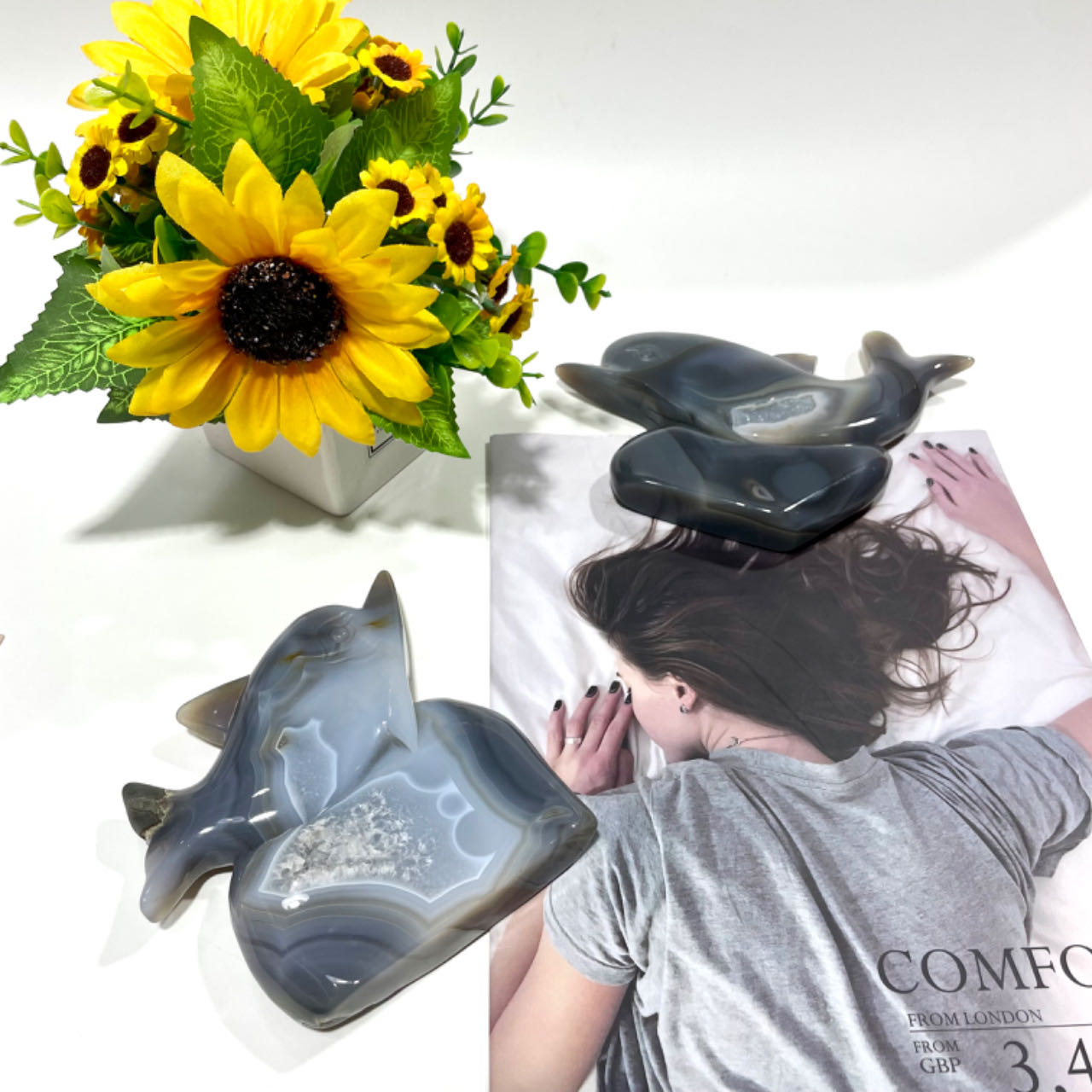 1 Count Geode Agate Dolphin Crystal Healing Crystal Gem Reiki Healing Home Decor Crystal Jewelry Shop Pretty Crystals From IG Crystal