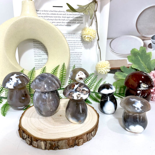 Killer Whale Mushroom Crystal Healing Stone Stochastic 2~3PCS From IG Crystal