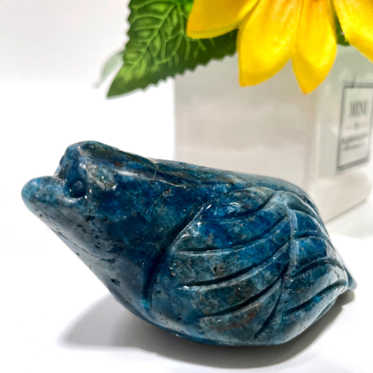 Blue Apatite Bird Crystal Carving Healing Crystal Gem Reiki Healing Home Decor Crystal Jewelry Shop Pretty Crystals From IG Crystal