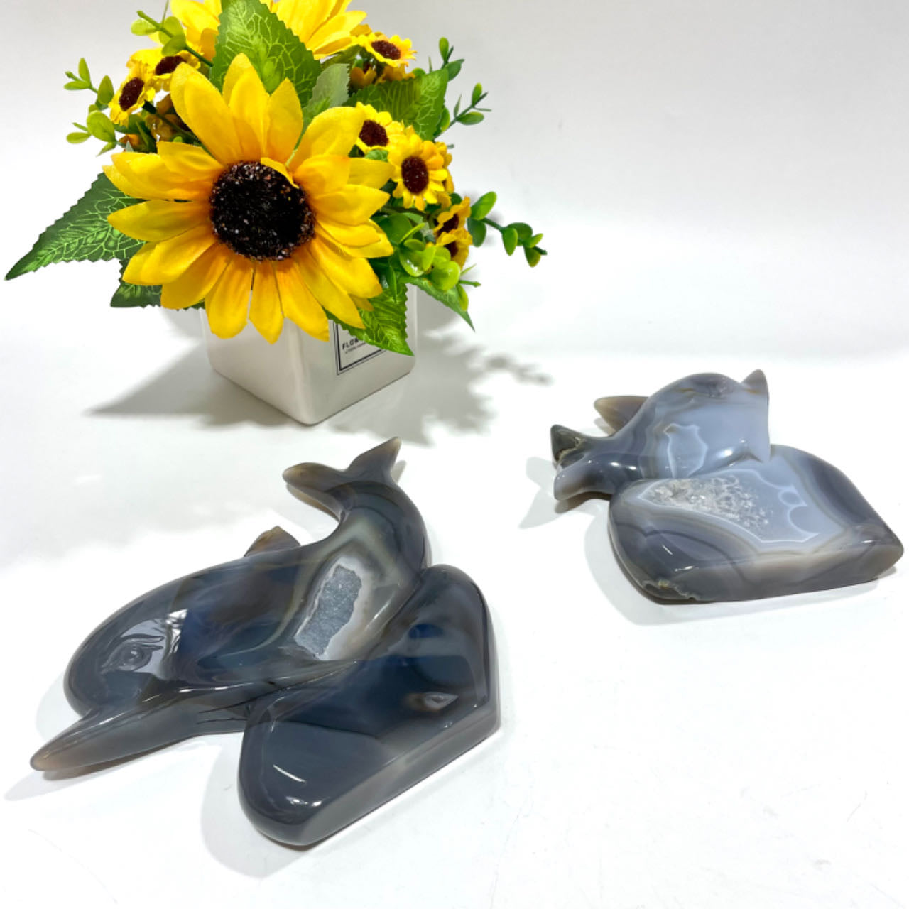 1 Count Geode Agate Dolphin Crystal Healing Crystal Gem Reiki Healing Home Decor Crystal Jewelry Shop Pretty Crystals From IG Crystal