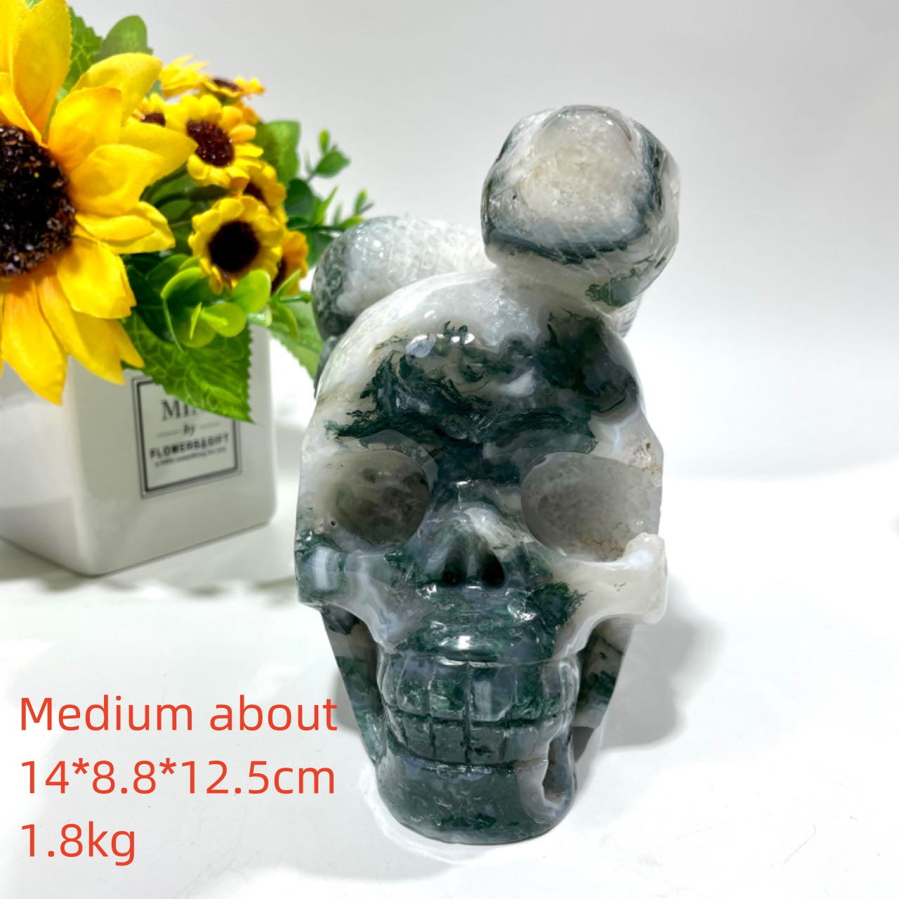 1 Count Big Moss Agate Skull With Snake Healing Crystal Gem Reiki Healing Home Decor Crystal Jewelry Shop Pretty Crystals From IG Crystal