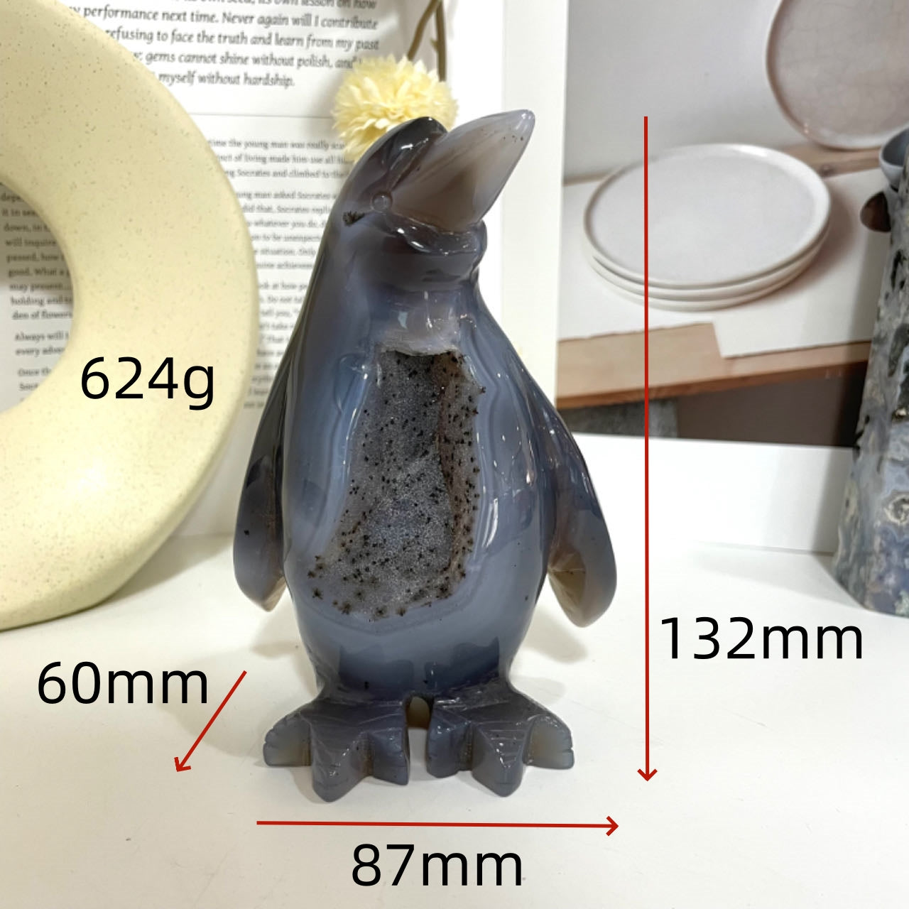 Penguin Druzy Natural Raw Geode From IG Crystal