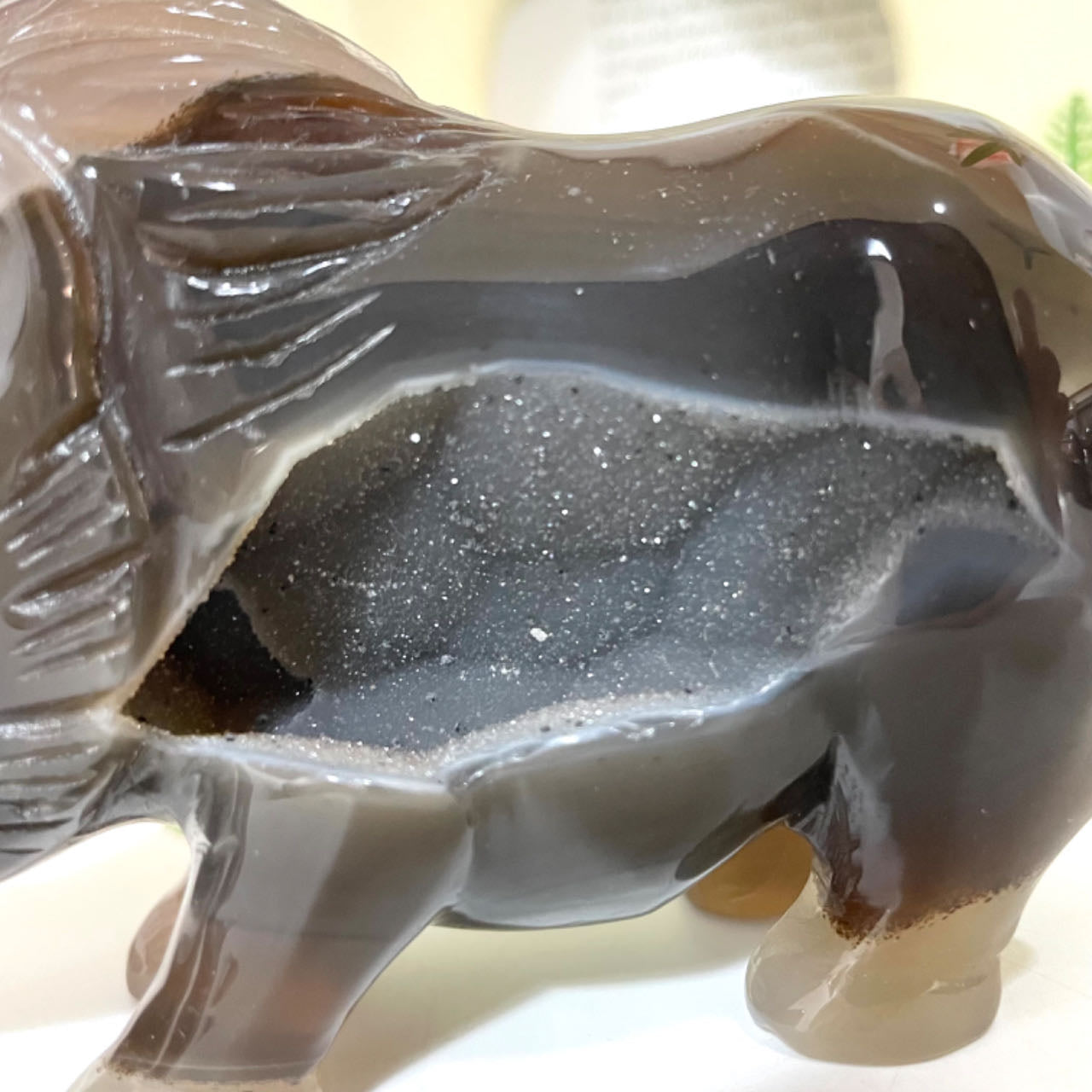 1PCS Wild Boar Druzy Natural Raw Geode Agate Healing Stone Home Decoration From IG Crystal