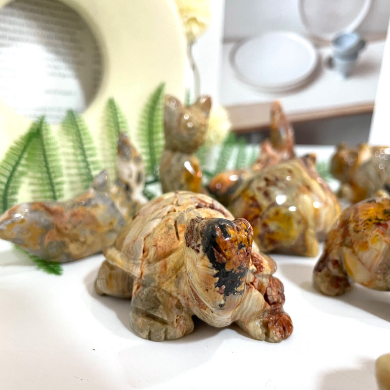 Crazy Lace Agate Animals Crystal Dog Dolphin Frog Cat Fish Shark Bear Rhinoceros Tortoise Healing Stone Home Decoration From IG Crystal