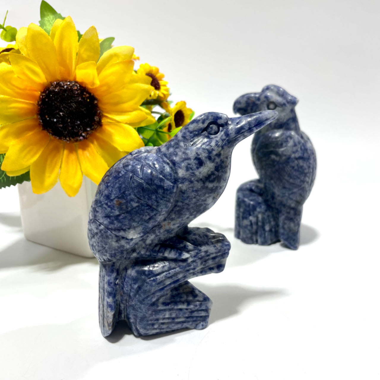 1 Count Sodalite Bird Crystal Carving Healing Crystal Gem Reiki Healing Home Decor Crystal Jewelry Shop Pretty Crystals From IG Crystal