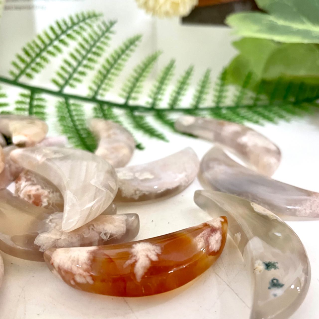 Pink Flower Agate Moon Stochastic 10PCS Healing Stone From IG Crystal