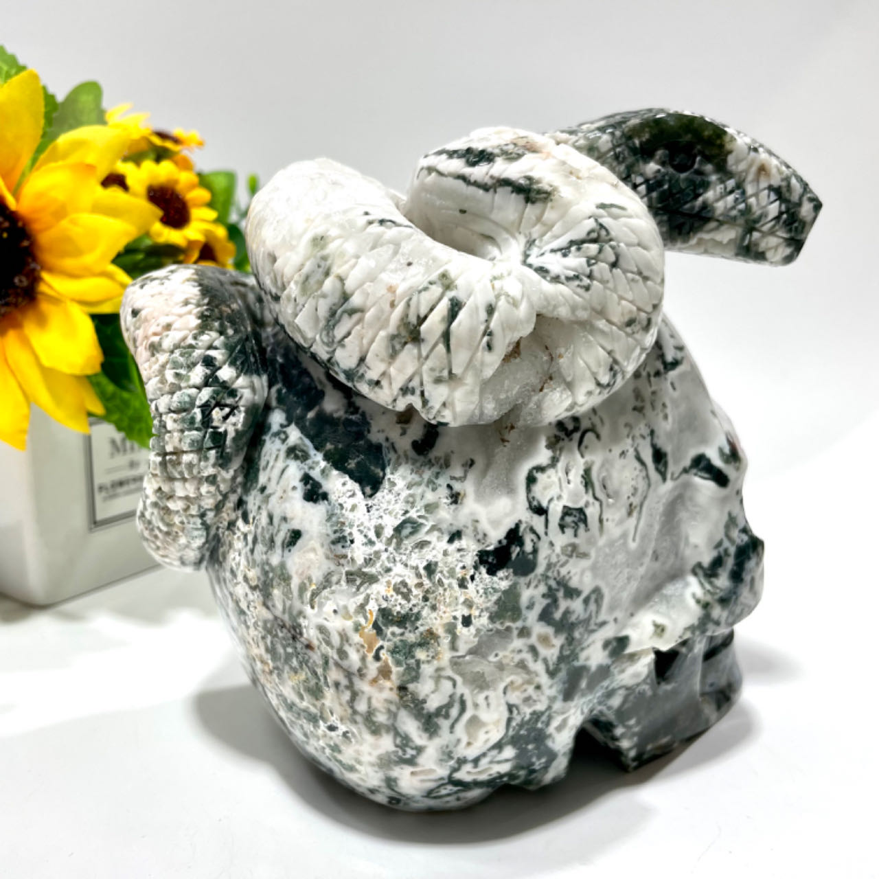 1 Count Big Moss Agate Skull With Snake Healing Crystal Gem Reiki Healing Home Decor Crystal Jewelry Shop Pretty Crystals From IG Crystal