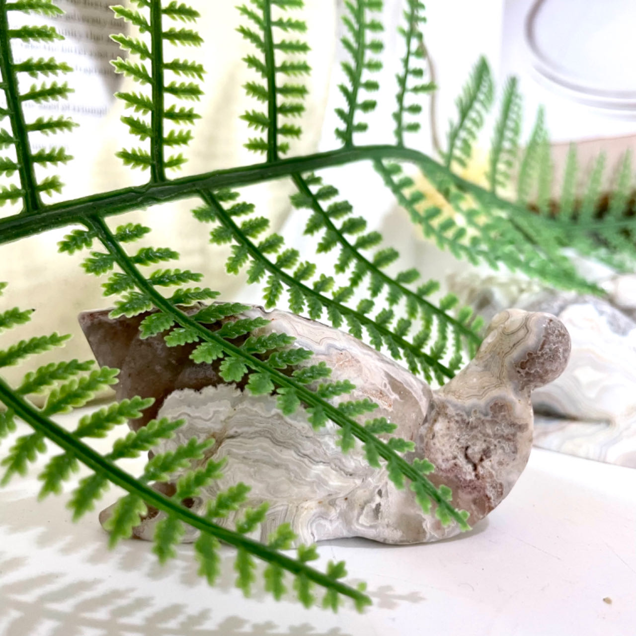 2 Counts Mexican Laguna Lace Agate Snail Crystal Healing Stone Home Decoration From IG Crystal