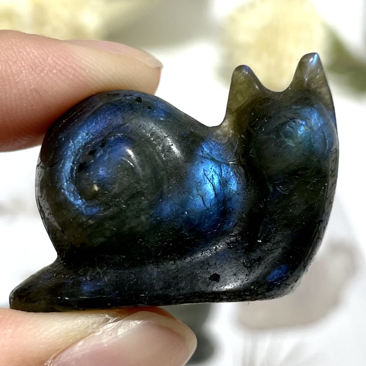 3 Counts Small Snail Crystal Labradorite Clear Quartz Obsidian Sodalite Healing Crystal Home Decoration From IG Crystal