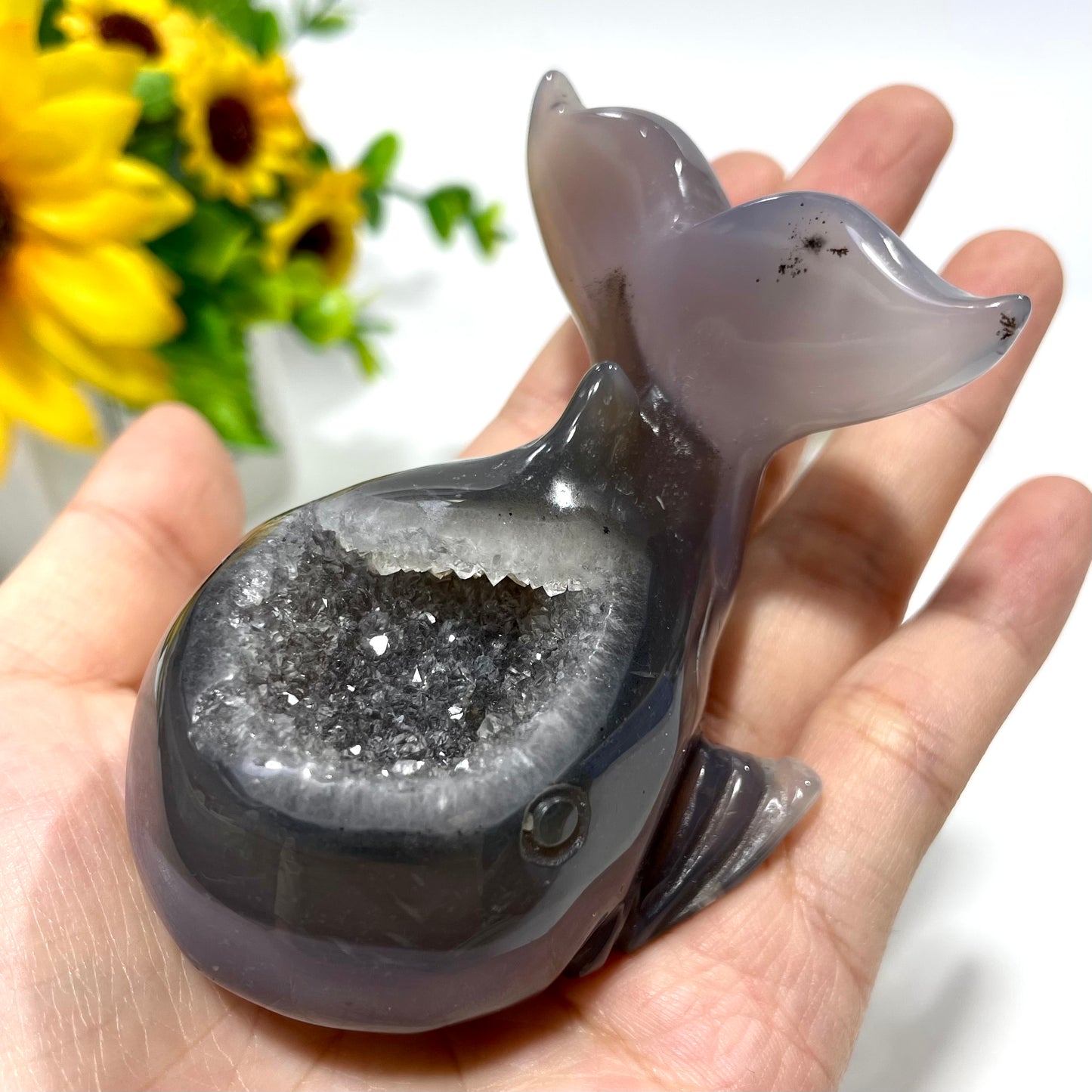 Geode Agate Whale Crystal Carving Natural Stone Gem Mining Chakra Balancing Reiki Healing Crystal Mystery Crystal Display Crystal Shopping Online Home Office Decor From IG Crystal