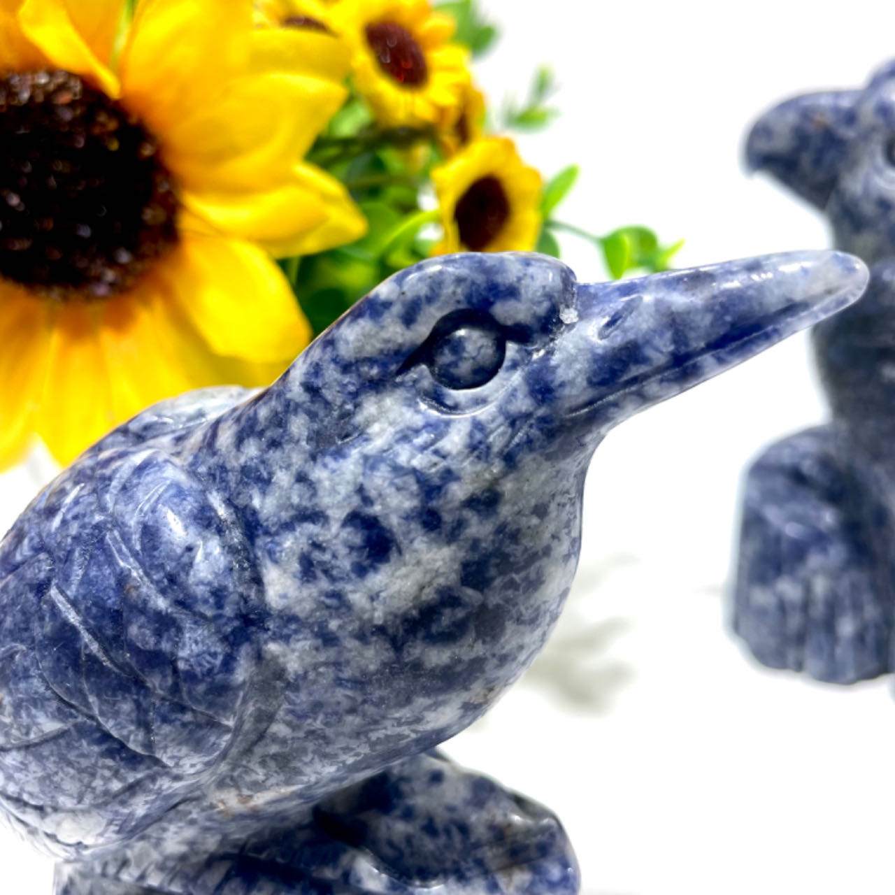 1 Count Sodalite Bird Crystal Carving Healing Crystal Gem Reiki Healing Home Decor Crystal Jewelry Shop Pretty Crystals From IG Crystal
