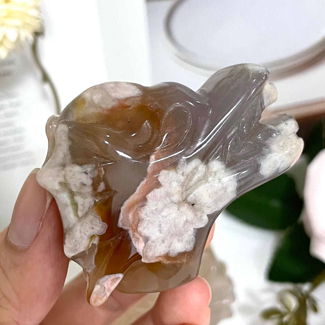 Flower Agate Dragon Head High Quality Natural Crystals (Stochastic 2pc) From IG Crystal