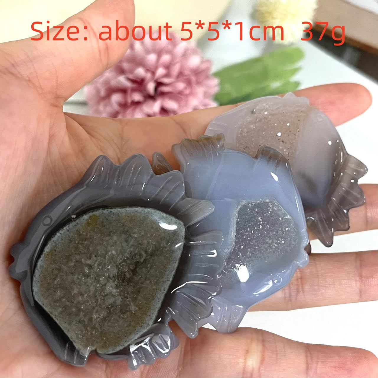 Animals Druzy Natural Raw Geode Agate Penguin Dolphin Horse Owl Fish Turtle Dinosaur Unicorn Fox Frog Eagle Snail Healing Stone Home Decoration From IG Crystal
