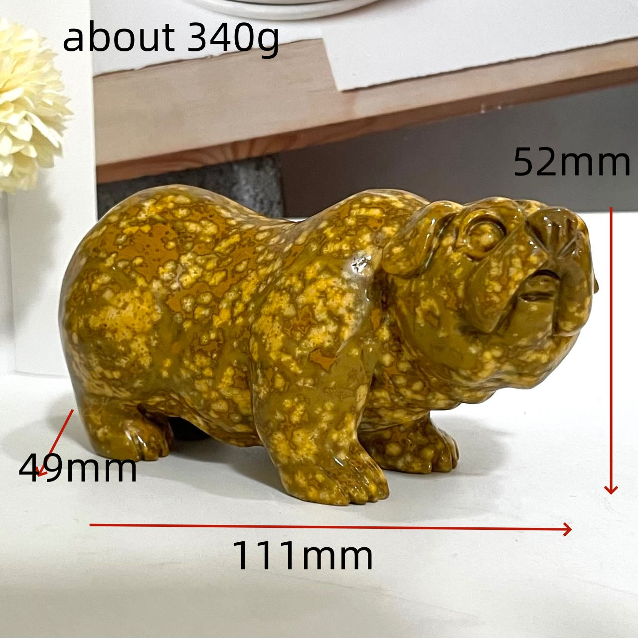 Ocean Jasper Rabbit Snapping Turtle Crocodile Groundhog French Bulldog Bear Owl Squirrel Crystal From IG Crystal