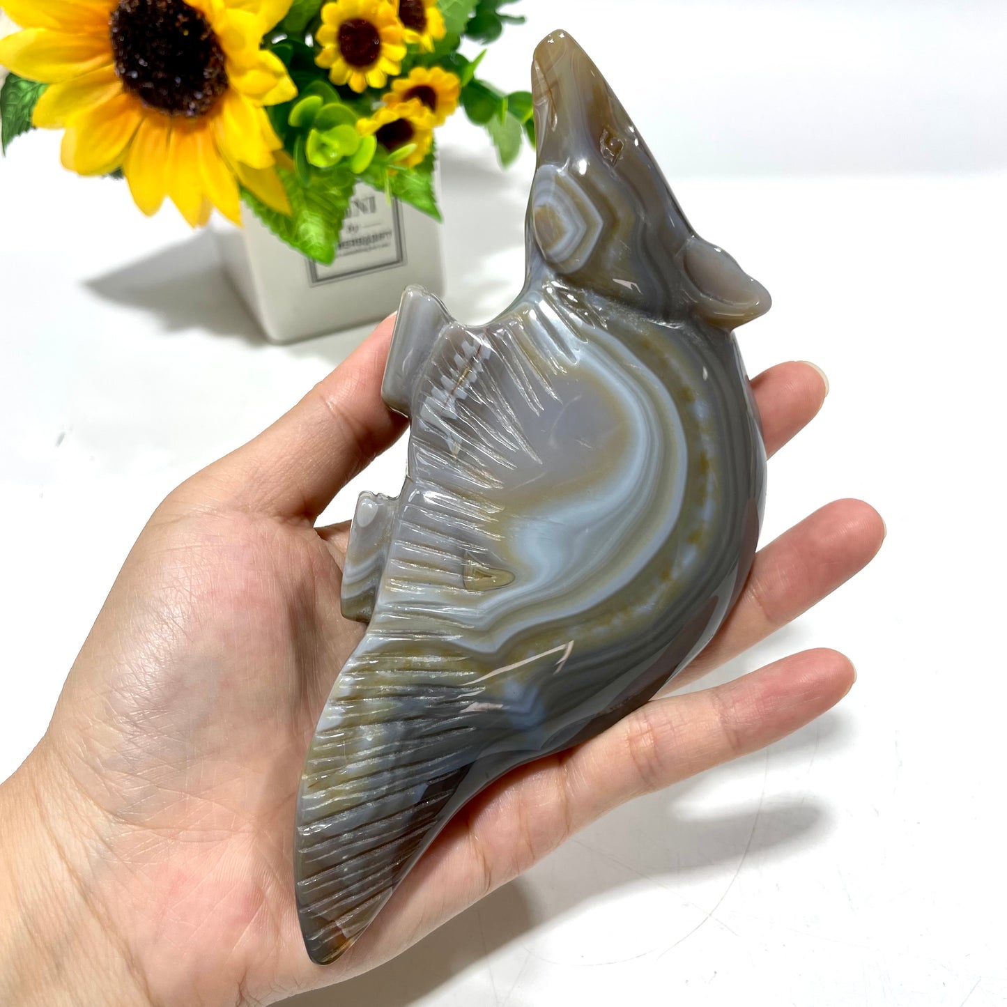 1 Count Agate Tapir Crystal Carving Healing Stones Natural Stone Chakra Balancing Reiki Home Office Decor From IG Crystal