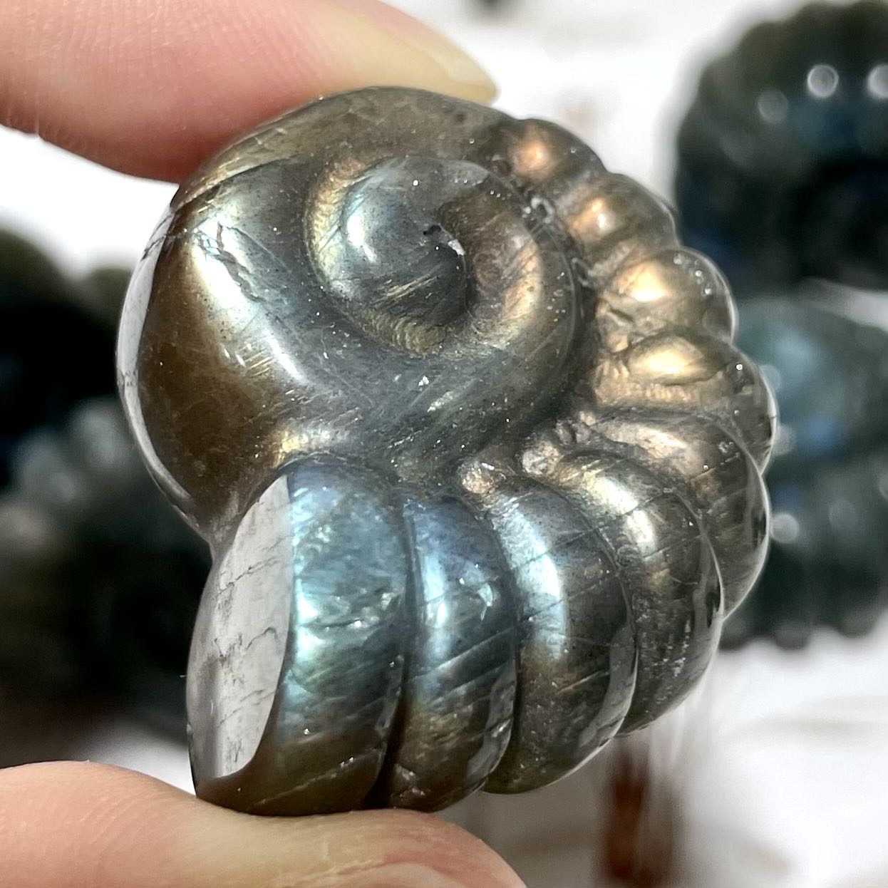 Labradorite Green Aventurine Snail Crystal 3CM 5CM Healing Crystal Home Decoration From IG Crystal