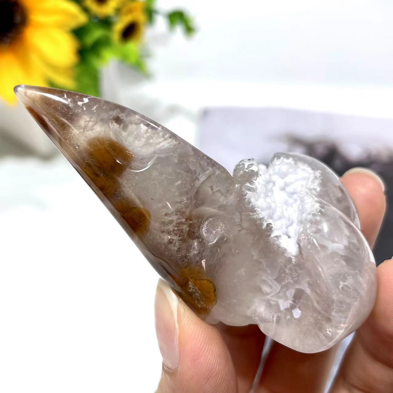 3 Counts Crow's Head Geode Crystal Carvings Natural Stone Gem Mining Chakra Balancing Reiki Healing Crystal Mystery Crystal Display Crystal Shopping Online Home Office Decor From IG Crystal