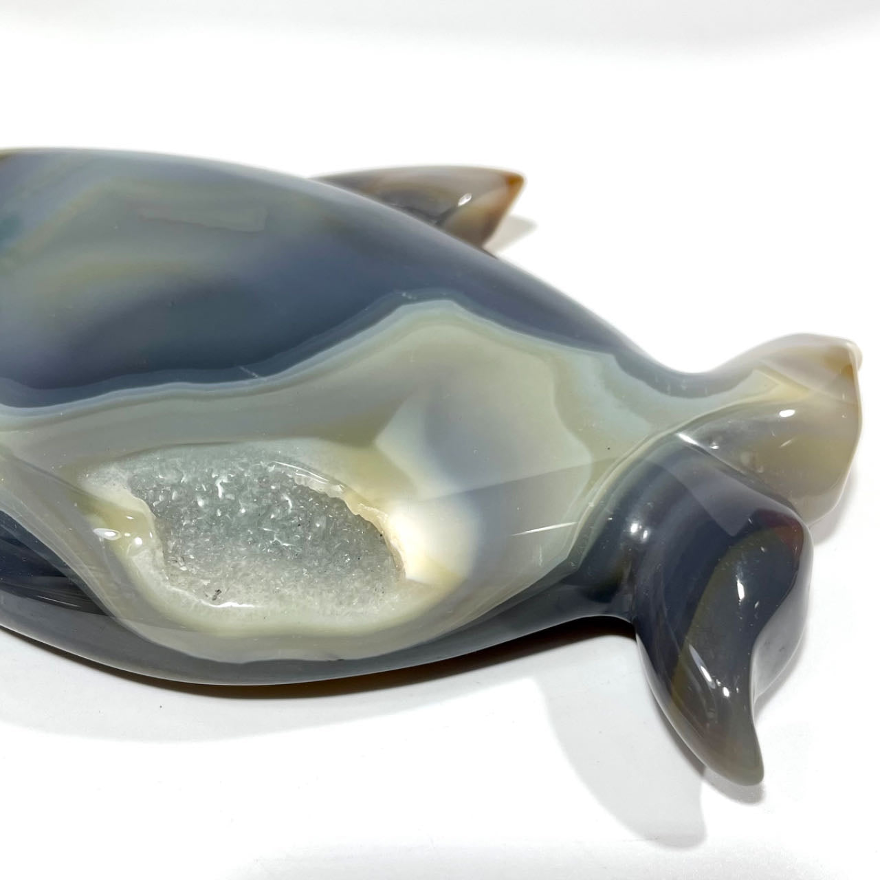 1 Count Geode Agate Dolphin Crystal Healing Crystal Gem Reiki Healing Home Decor Crystal Jewelry Shop Pretty Crystals From IG Crystal
