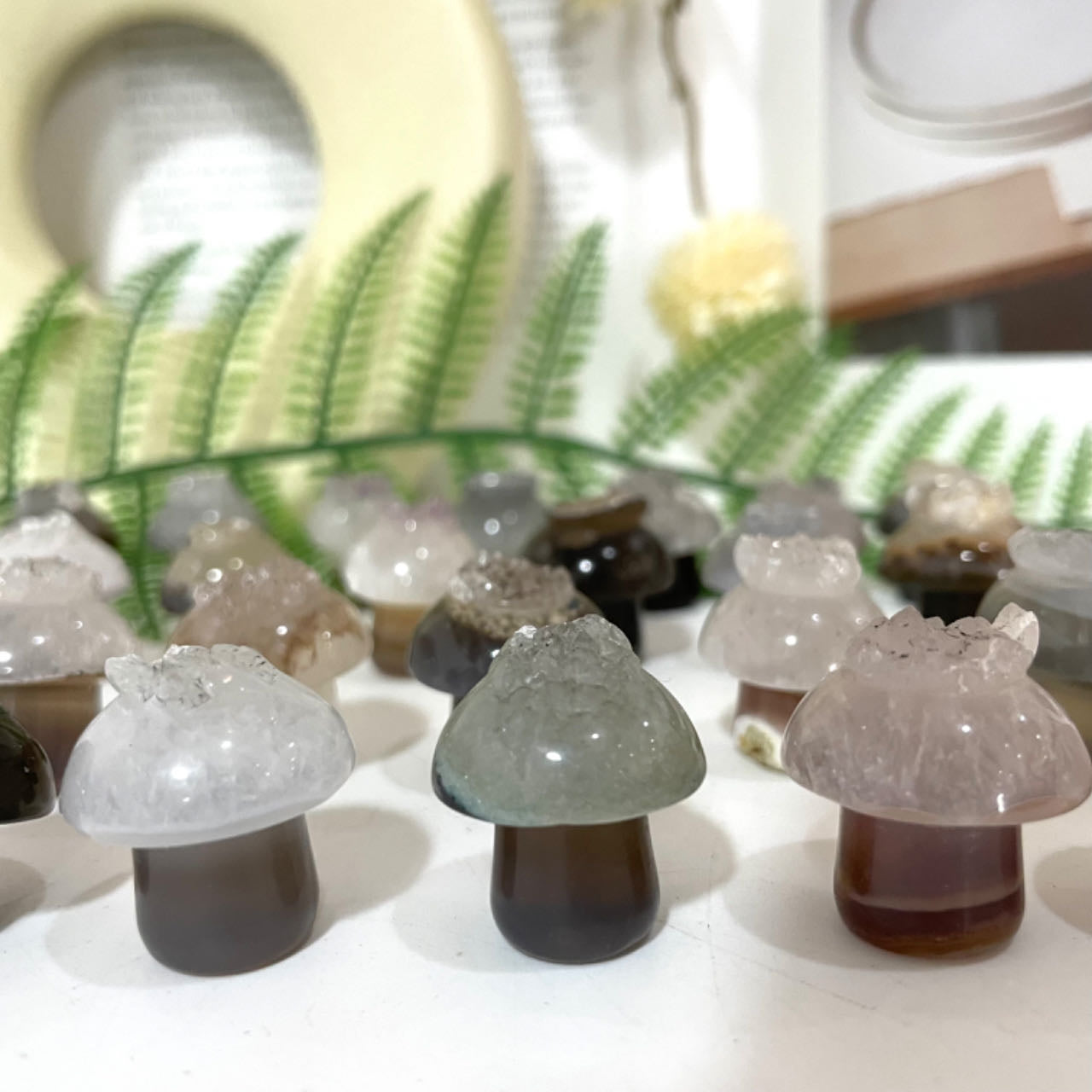 Different Maerail Small Mushrooms Druzy Natural Raw Geode Healing Stone From IG Crystal