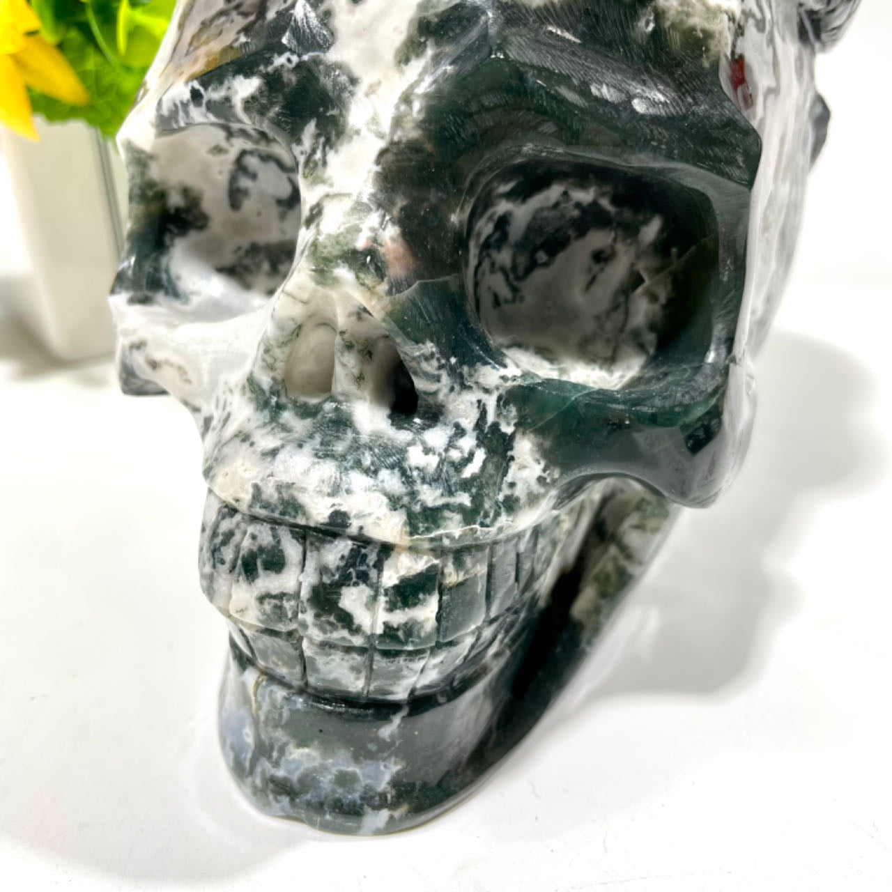 1 Count Big Moss Agate Skull With Snake Healing Crystal Gem Reiki Healing Home Decor Crystal Jewelry Shop Pretty Crystals From IG Crystal