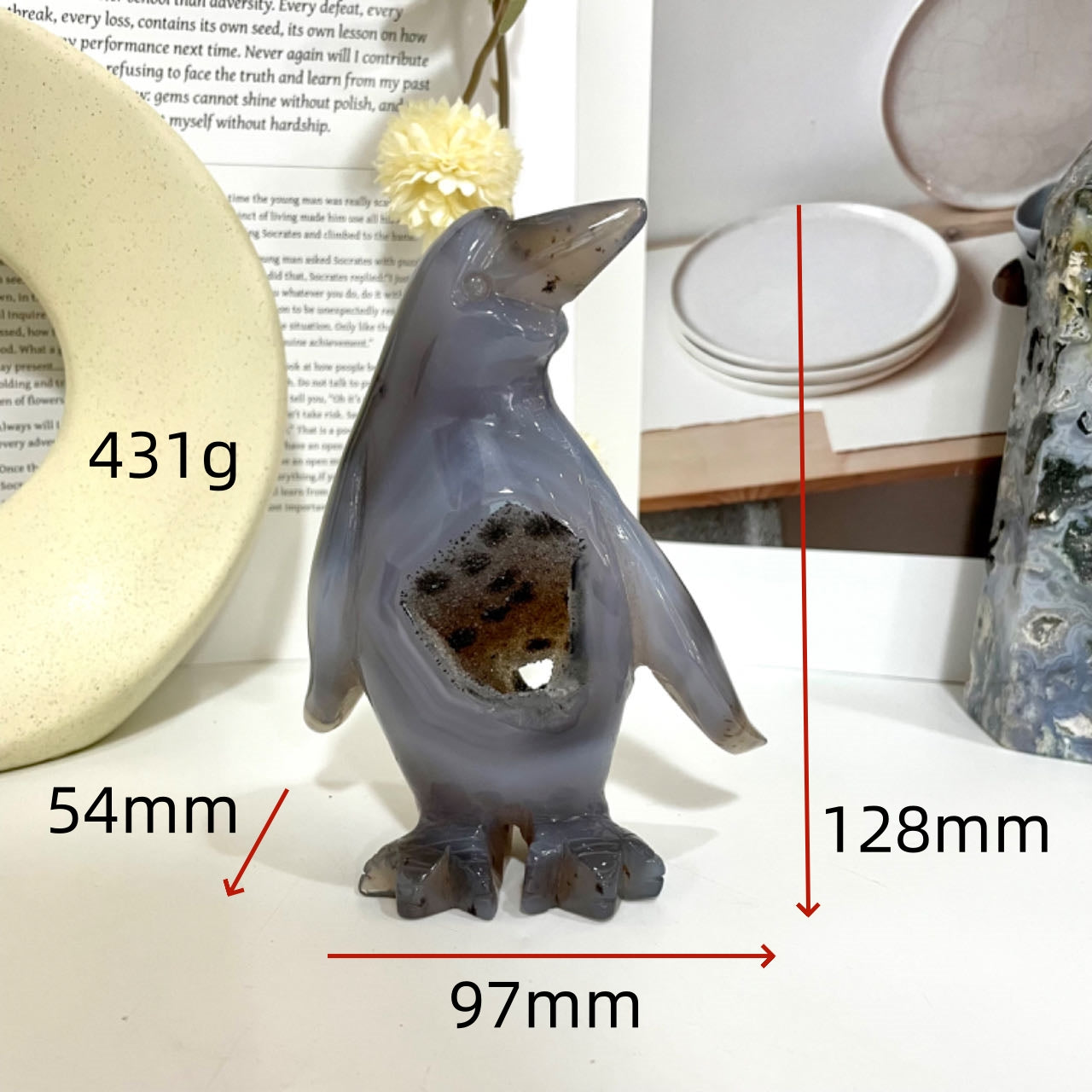 Penguin Druzy Natural Raw Geode From IG Crystal
