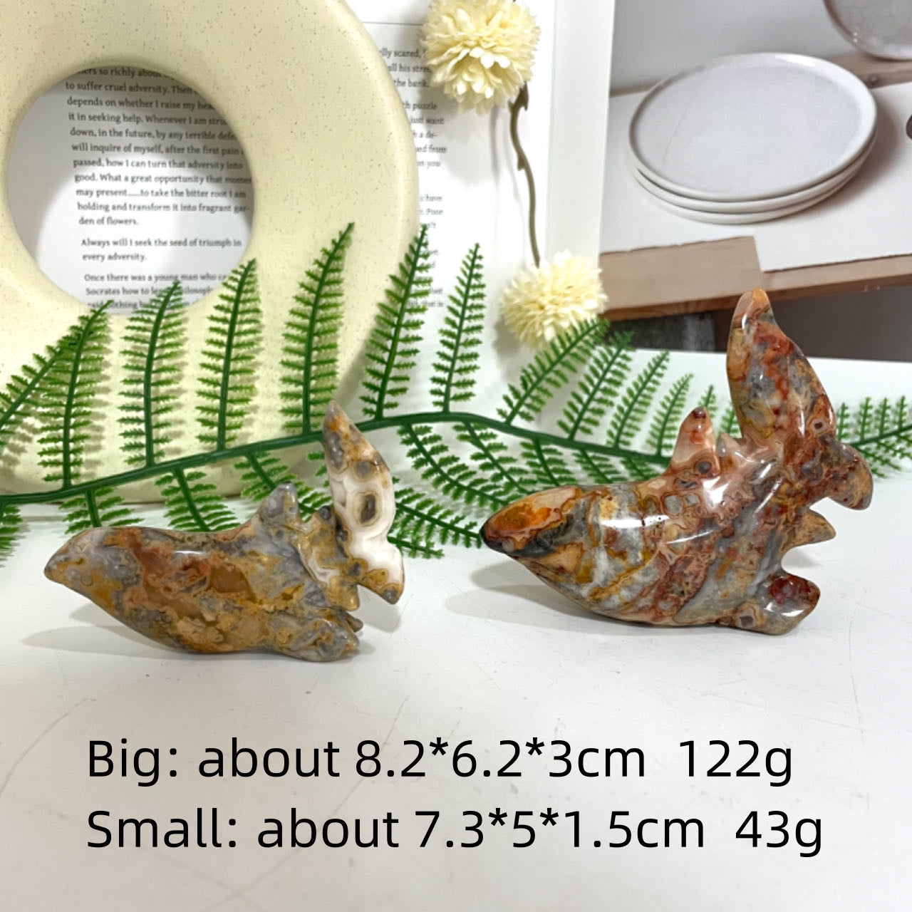 Crazy Lace Agate Animals Crystal Dog Dolphin Frog Cat Fish Shark Bear Rhinoceros Tortoise Healing Stone Home Decoration From IG Crystal