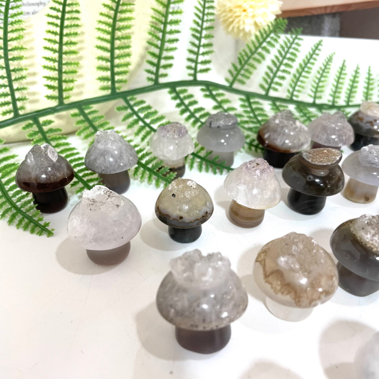 Different Maerail Small Mushrooms Druzy Natural Raw Geode Healing Stone From IG Crystal