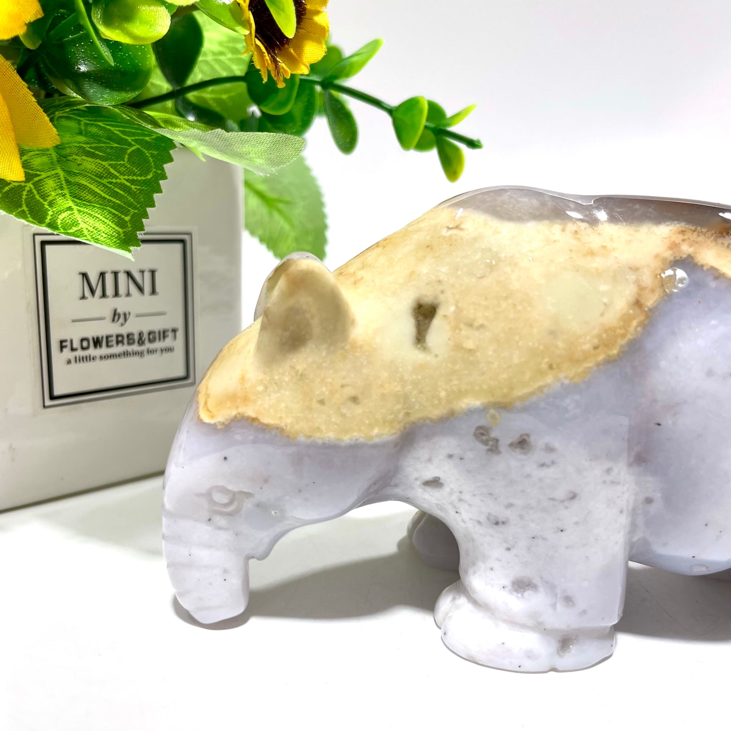 1 Count Anteater Crystal Carving Chalcedony Red Picture Jasper Healing Stones Natural Stone Chakra Balancing Reiki Home Office Decor From IG Crystal