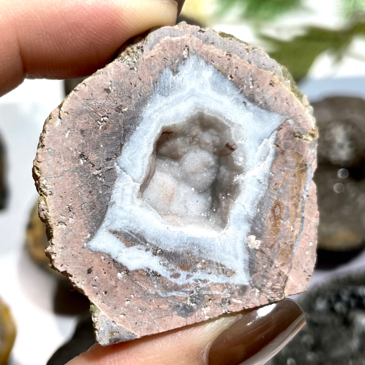 3~5 Counts Natural Stone Crystal Crafts Gift Crystal Druzy Agate Geode Raw Stone For home decor From IG Crystal