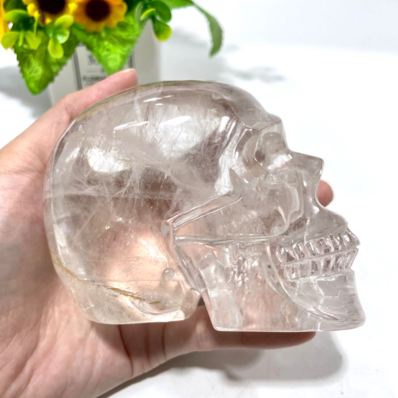 1 Count Big Clear Quartz Skull Healing Crystal Gem Reiki Healing Home Decor Crystal Jewelry Shop Pretty Crystals From IG Crystal