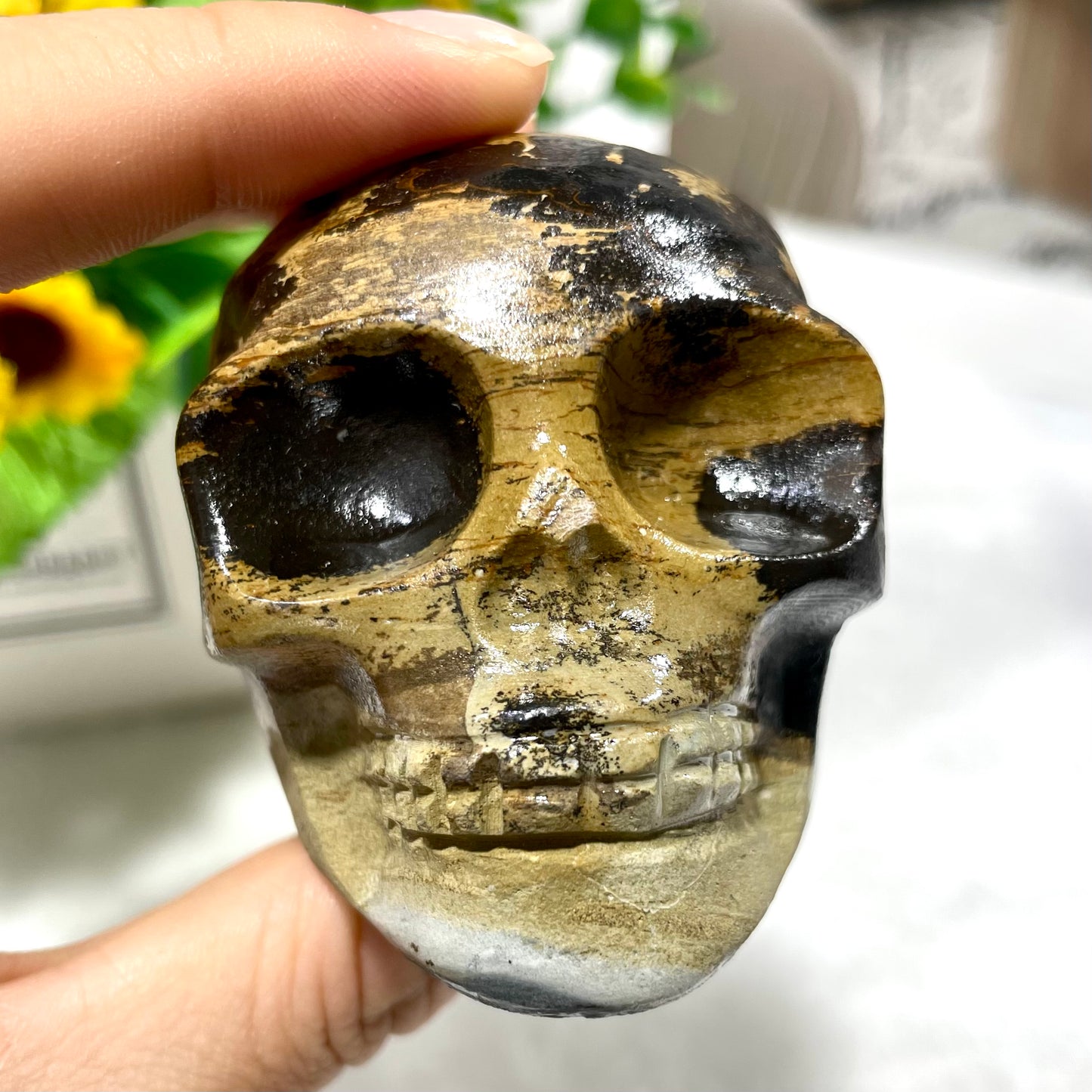 2 Counts Picture Jasper Skull Crystal Carving Healing Stones Natural Stone Chakra Balancing Reiki Home Office Decor From IG Crystal