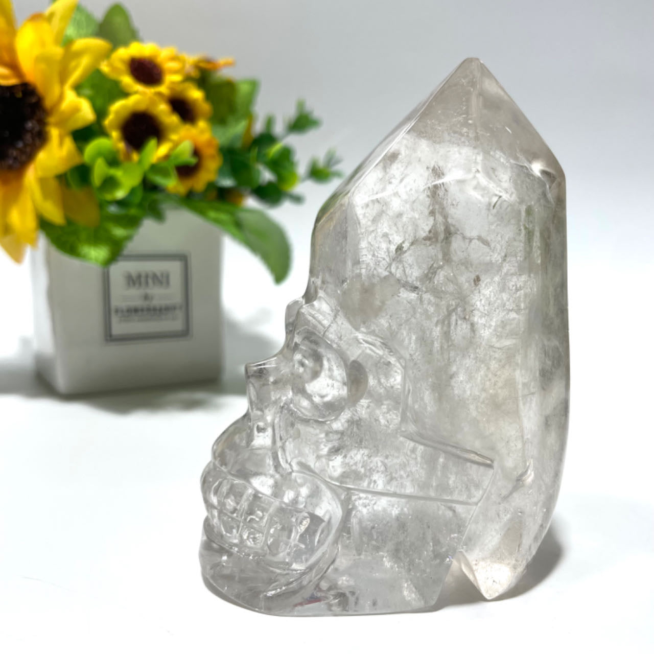 Clear Quartz Tall Skull Crystal Healing Crystal Gem Reiki Healing Home Decor Crystal Jewelry Shop Pretty Crystals From IG Crystal
