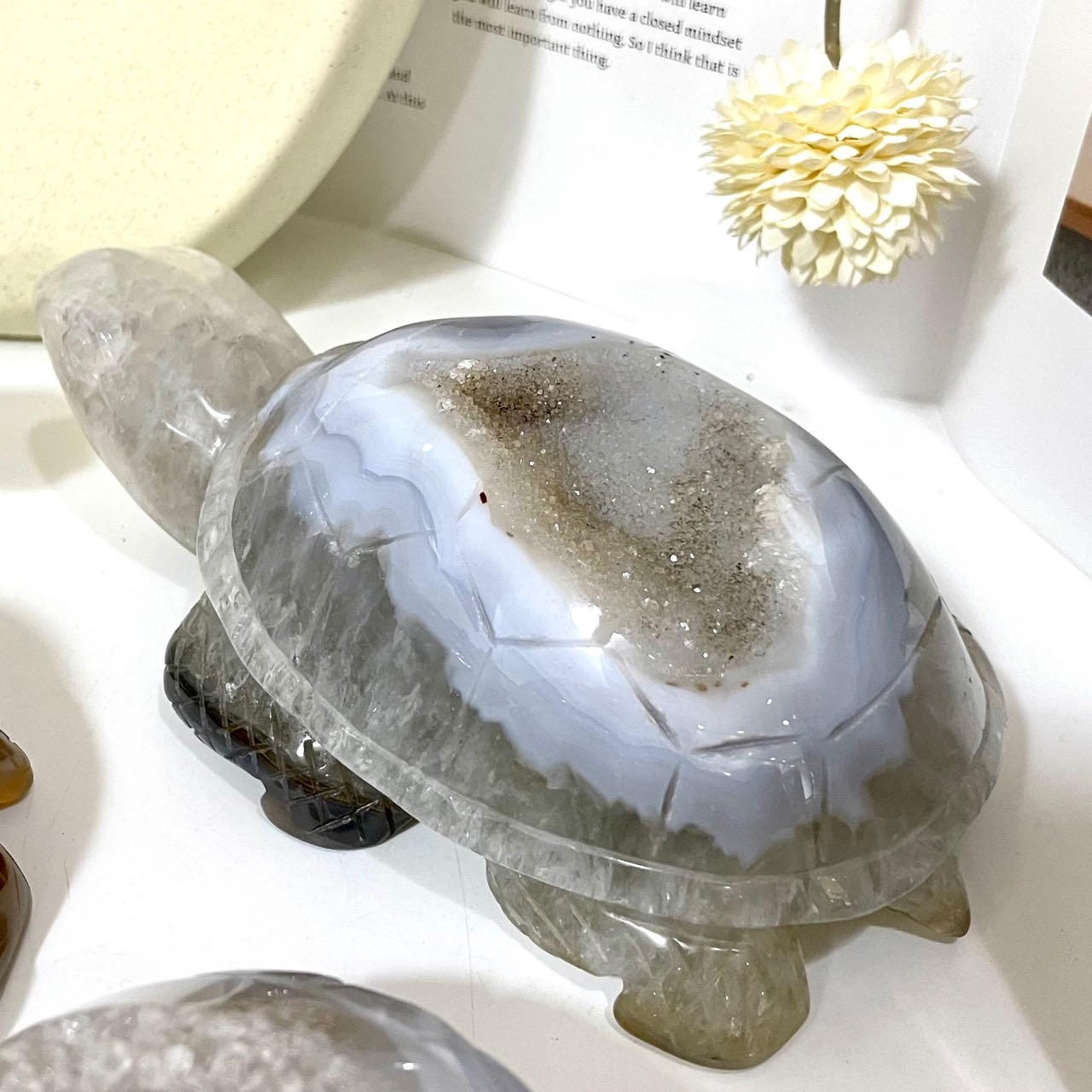 Turtle Druzy Natural Raw Geode From IG Crystal