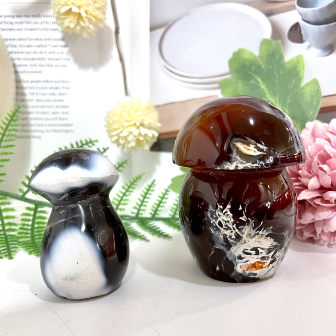 Killer Whale Mushroom Crystal Healing Stone Stochastic 2~3PCS From IG Crystal