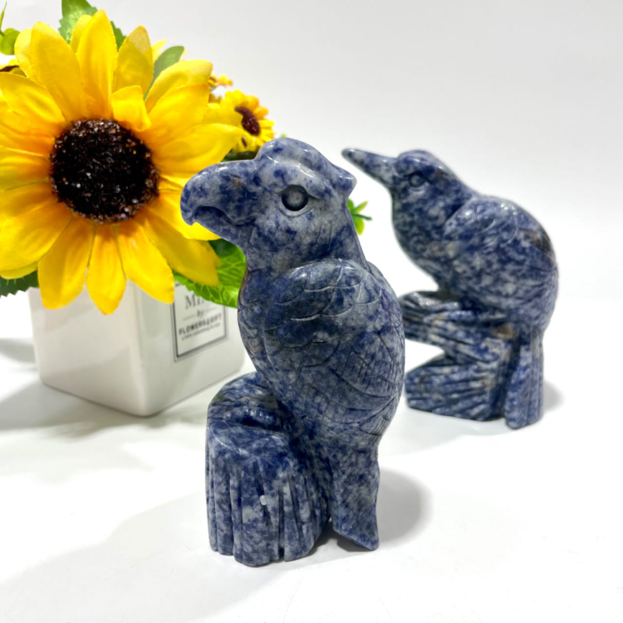 1 Count Sodalite Bird Crystal Carving Healing Crystal Gem Reiki Healing Home Decor Crystal Jewelry Shop Pretty Crystals From IG Crystal