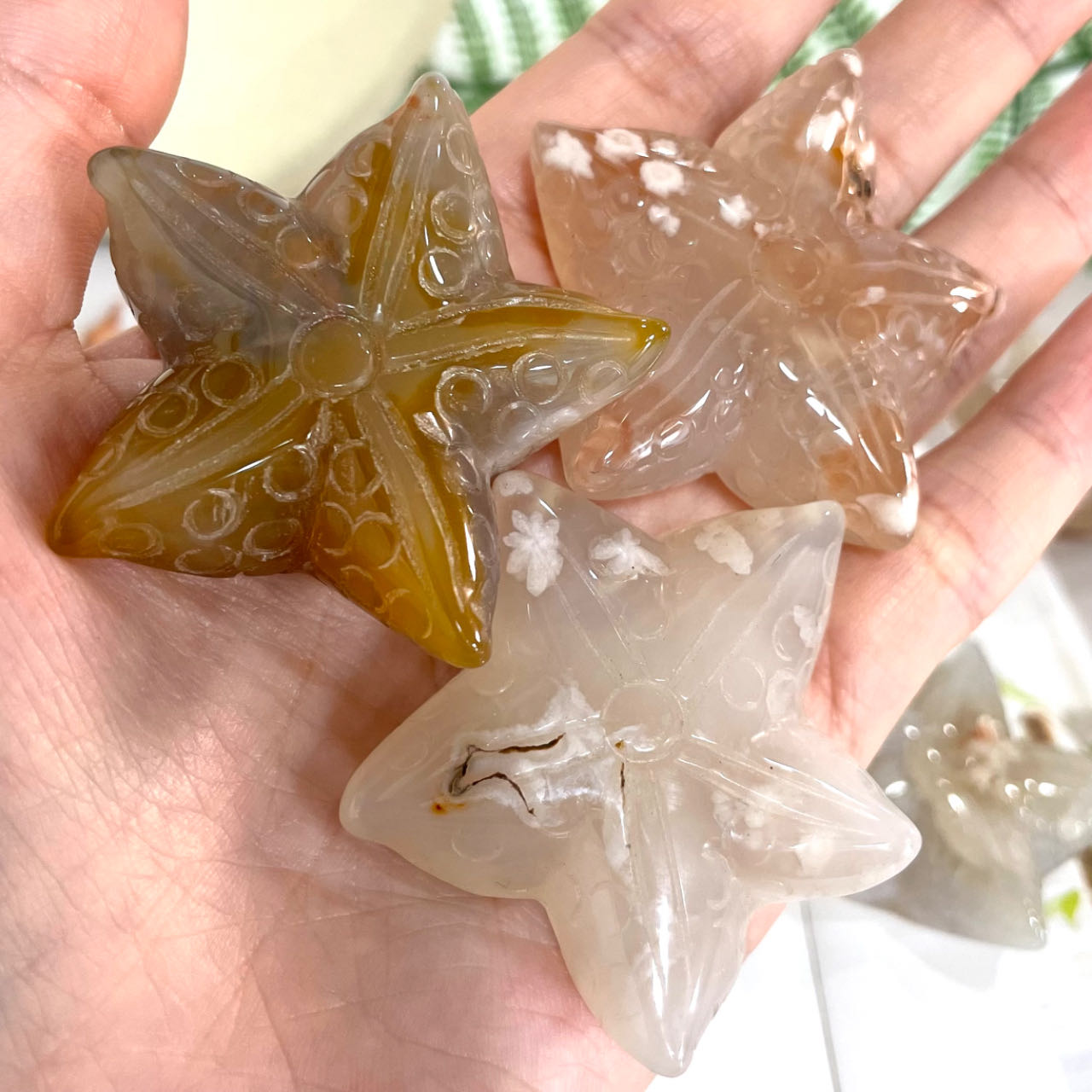 IG Crystal 10 Counts Starfish Shape Crystal Flower Agate Starfish Healing Crystal Home Decoration