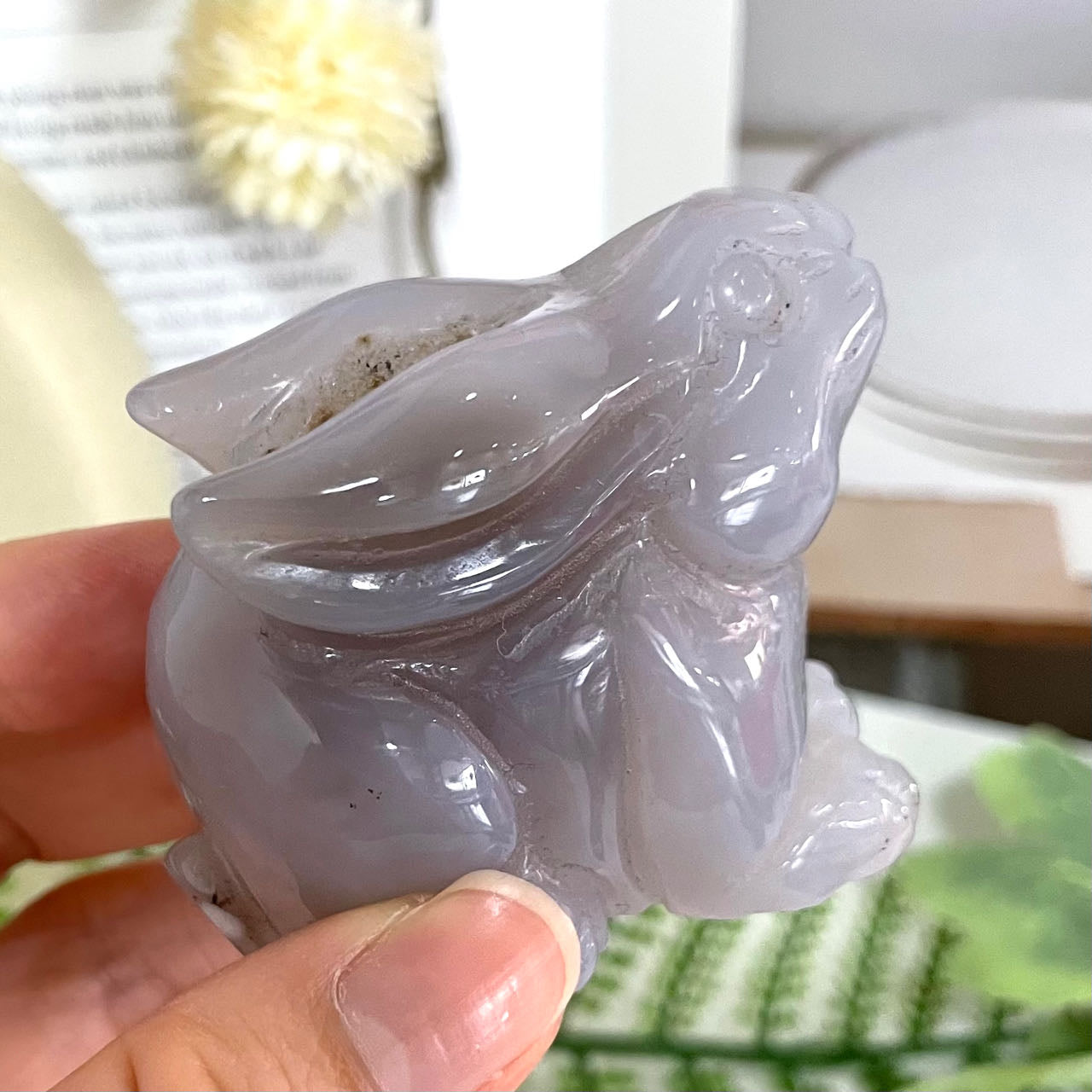 Rabbit Druzy Natural Raw Geode Stochastic 2PCS From IG Crystal