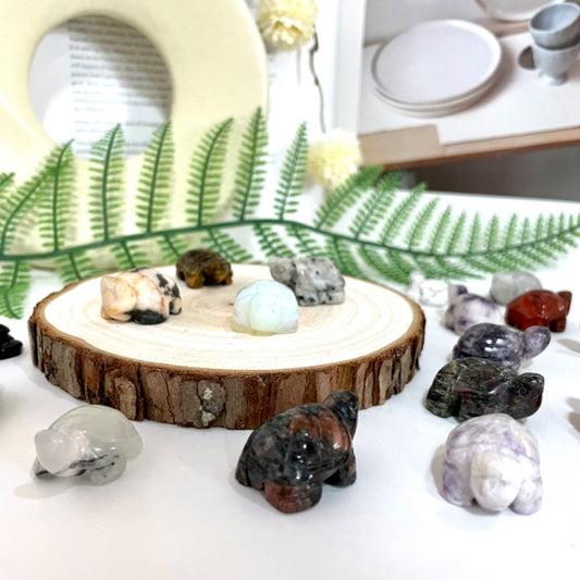 12 Counts Mix 3cm Crystal Carvings Turtle Different Stone Healing Stone Home Decoration From IG Crystal