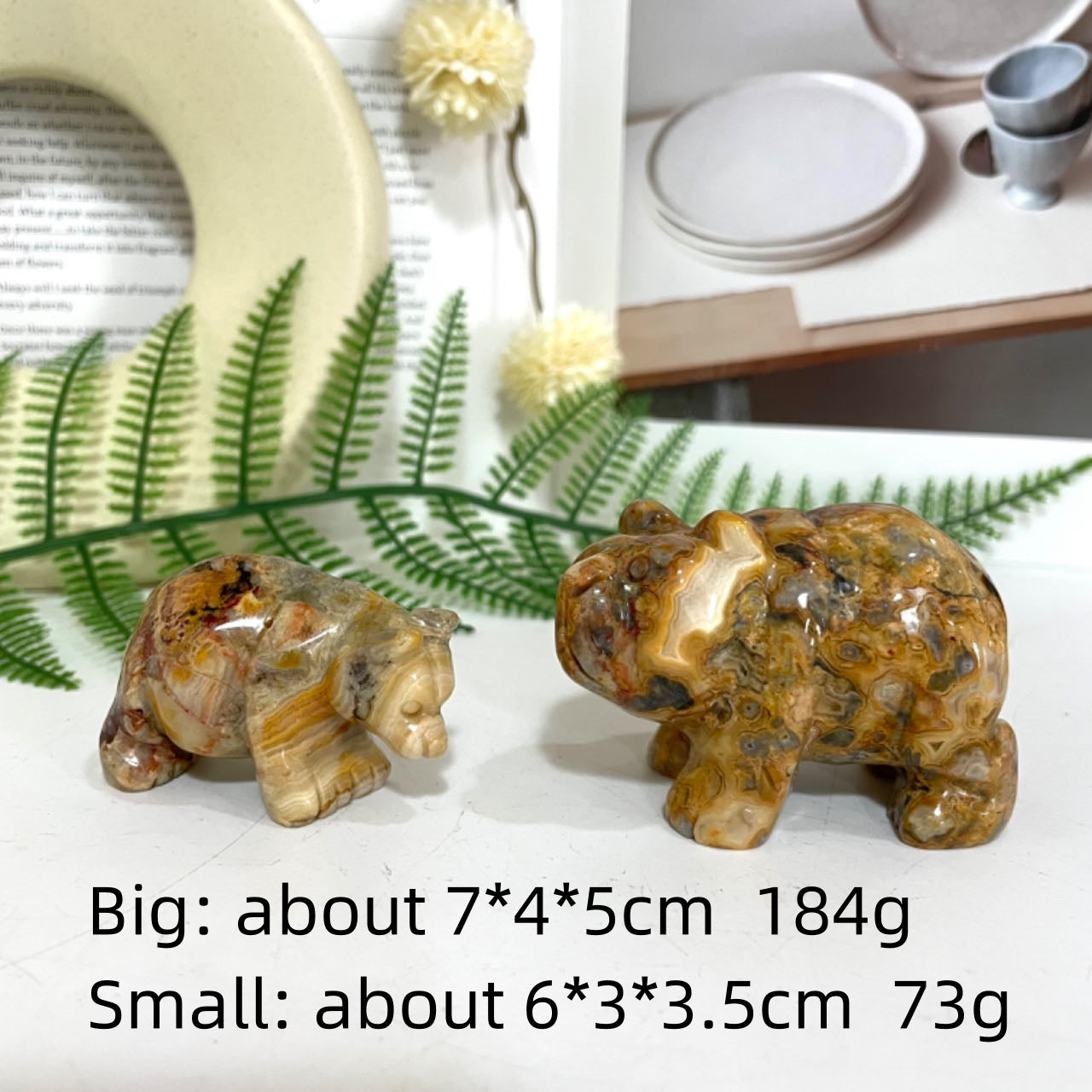 Crazy Lace Agate Animals Crystal Dog Dolphin Frog Cat Fish Shark Bear Rhinoceros Tortoise Healing Stone Home Decoration From IG Crystal
