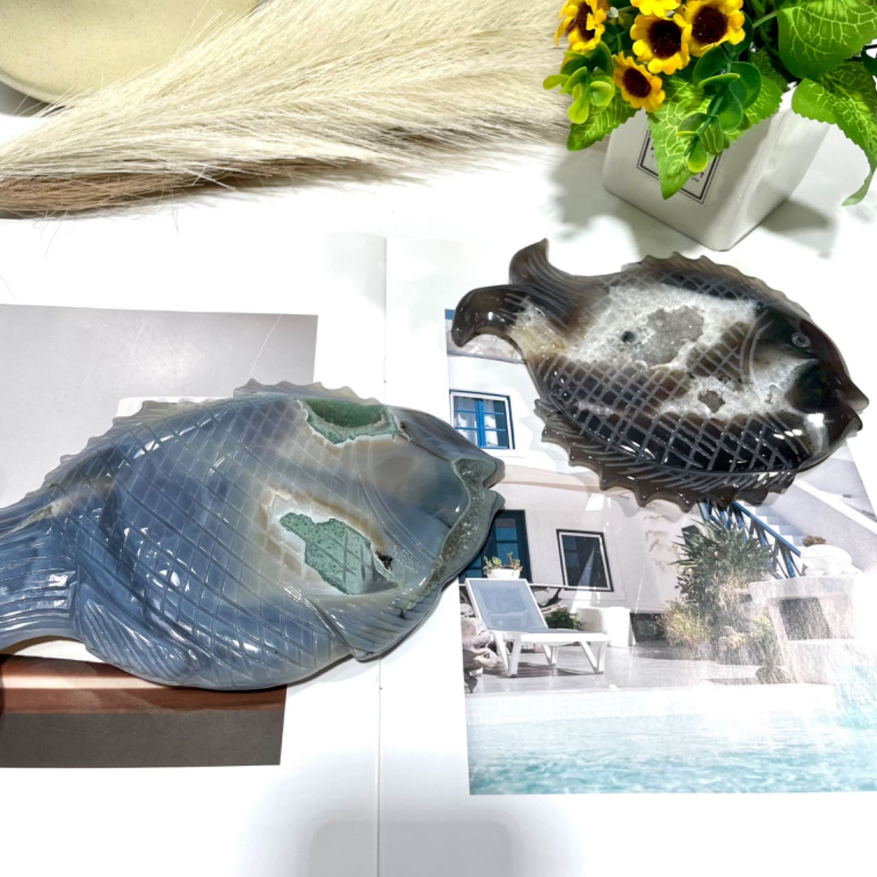 1 Count Geode Agate Fish Crystal Healing Crystal Gem Reiki Healing Home Decor Crystal Jewelry Shop Pretty Crystals From IG Crystal
