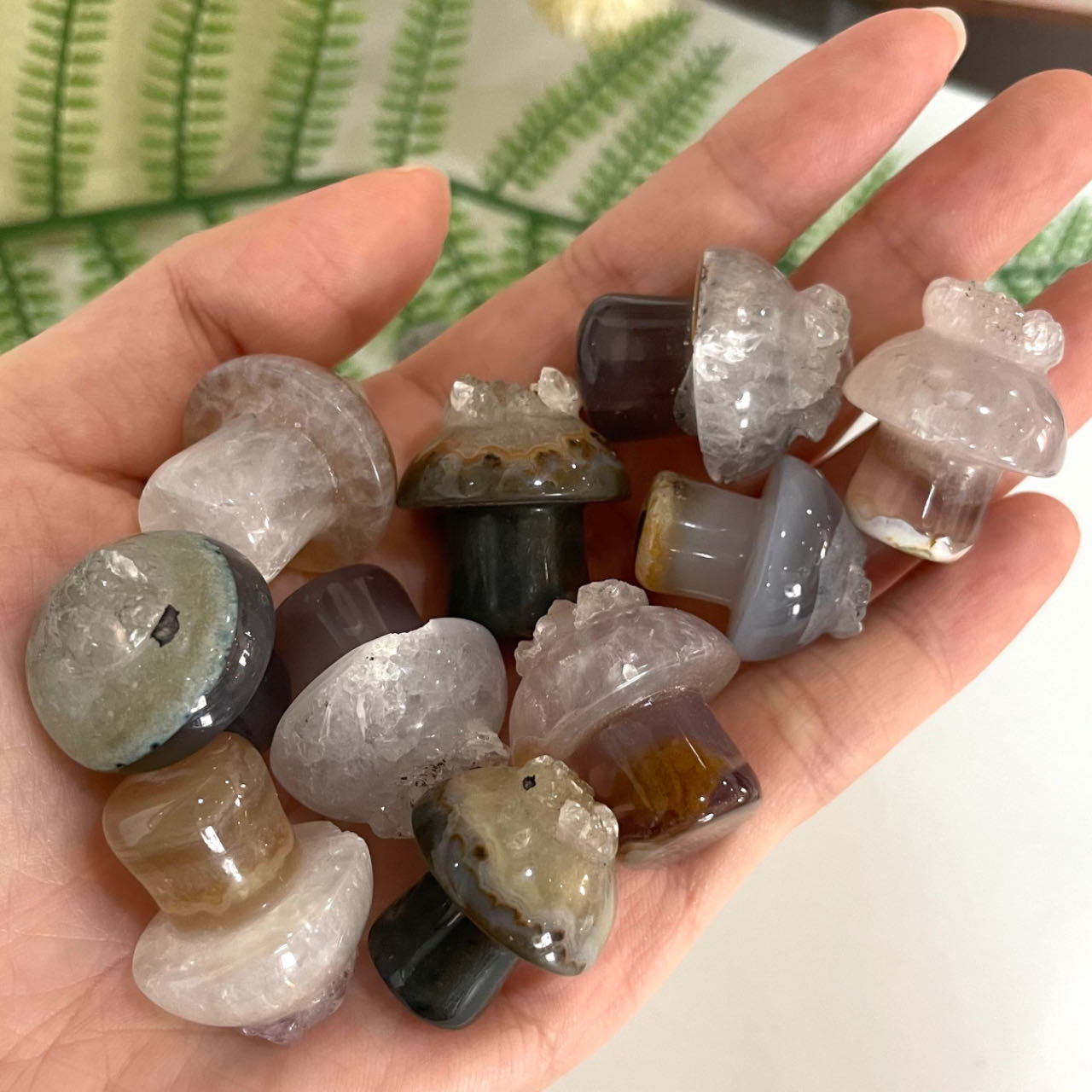 Different Maerail Small Mushrooms Druzy Natural Raw Geode Healing Stone From IG Crystal