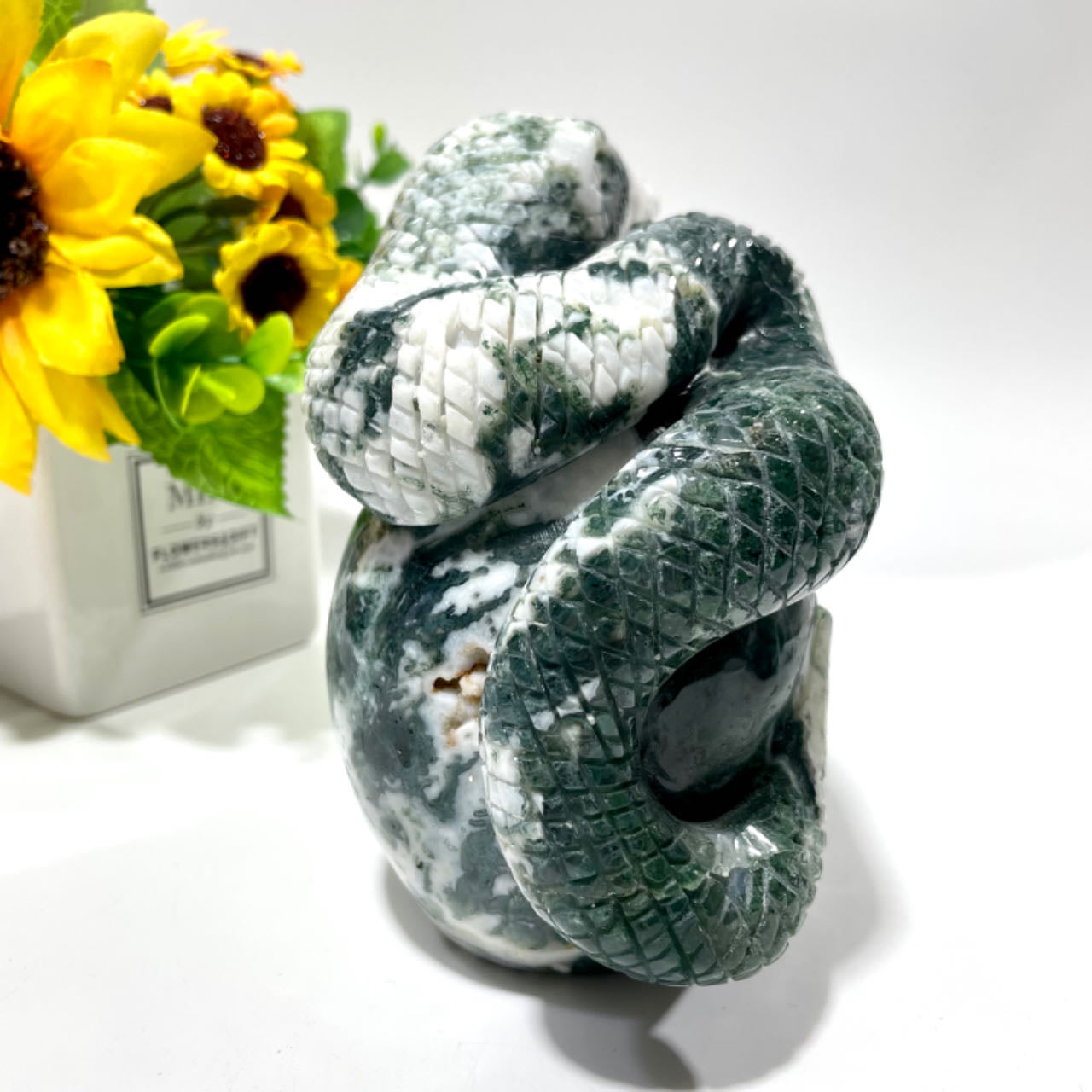 1 Count Big Moss Agate Skull With Snake Healing Crystal Gem Reiki Healing Home Decor Crystal Jewelry Shop Pretty Crystals From IG Crystal