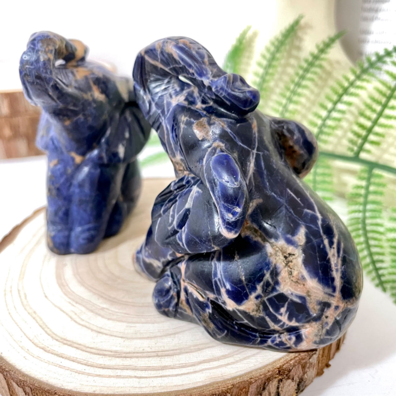 Sodalite Elephant Carving 1 count Healing Stone Home Decoration From IG Crystal