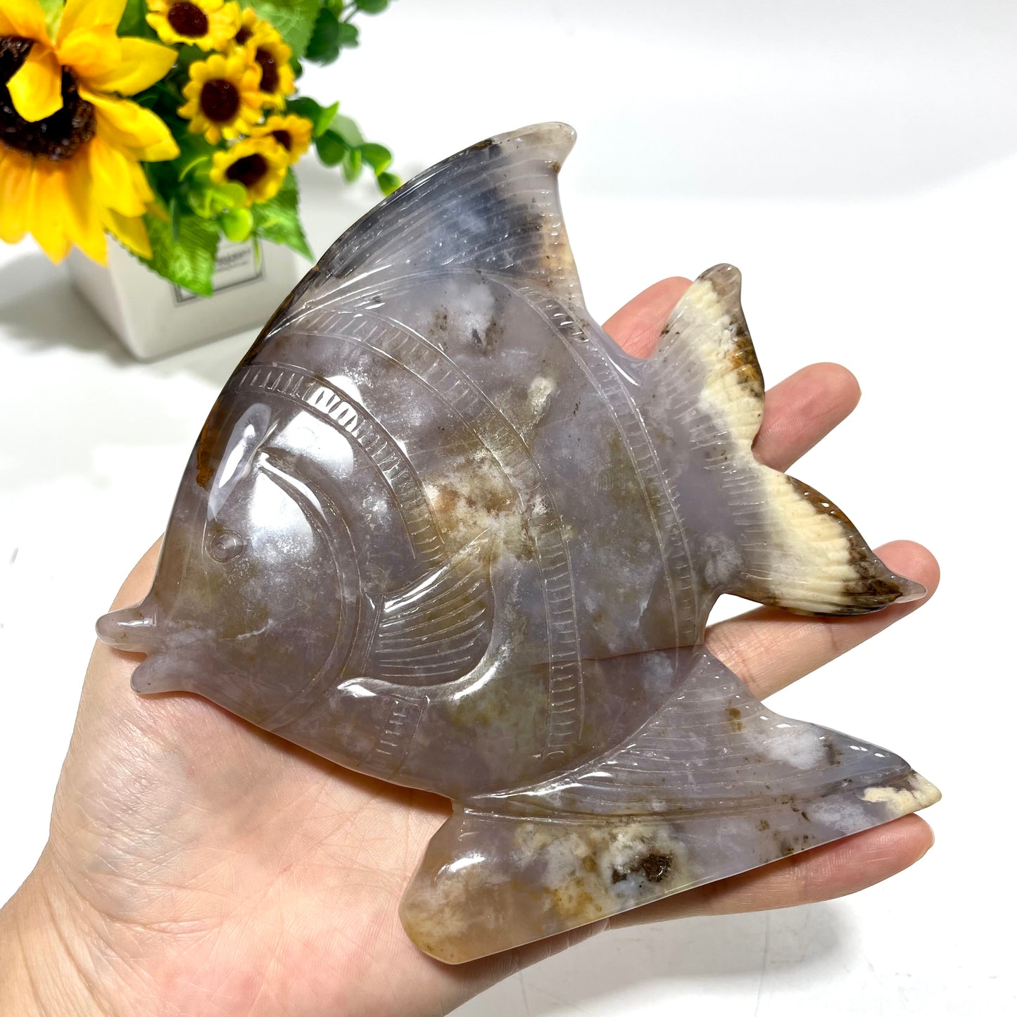 1 Count Chalcedony Fish Crystal Carving Healing Stones Natural Stone Chakra Balancing Reiki Home Office Decor From IG Crystal