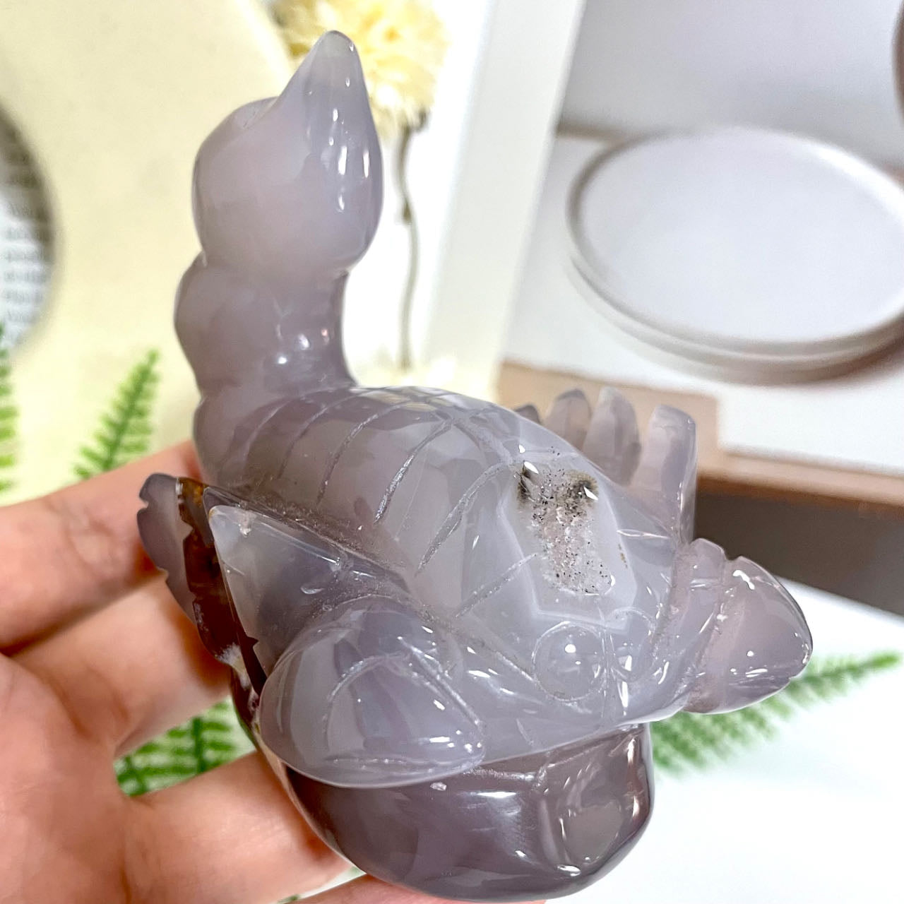 Druzy Crab Natural Raw Geode 1 Count Healing Stone Home Decoration From IG Crystal