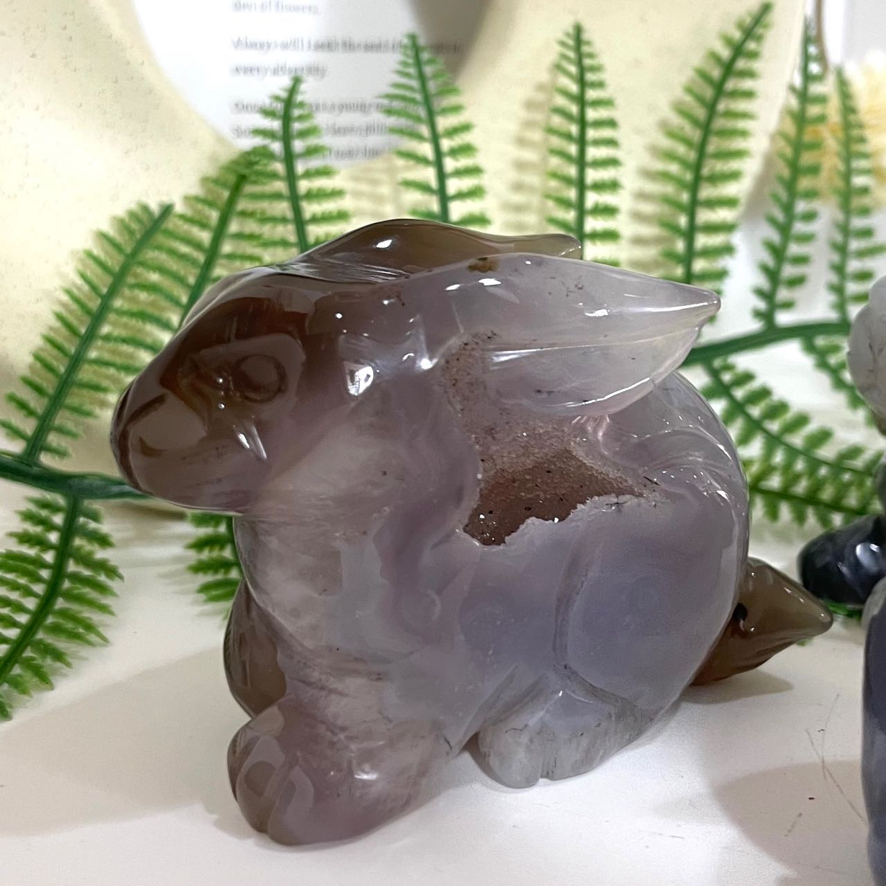 Rabbit Druzy Natural Raw Geode Stochastic 2PCS From IG Crystal