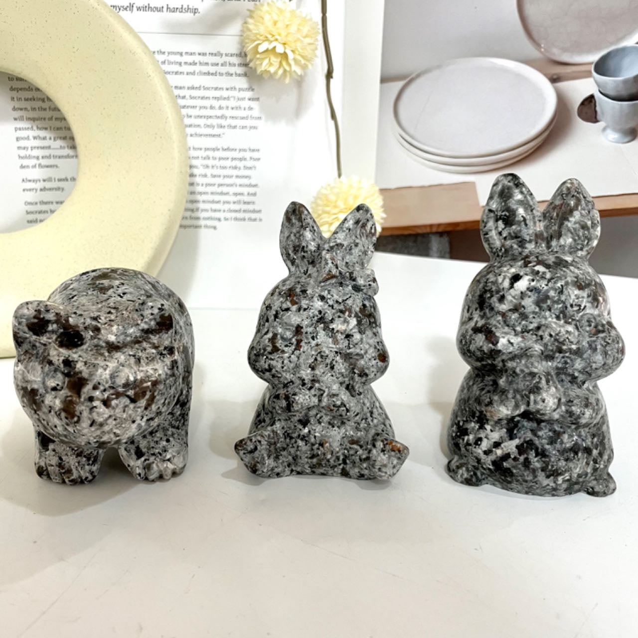 Yooperlite Bear Rabbit Seal Squirrel Frog Dog Crystal Healing Stone From IG Crystal